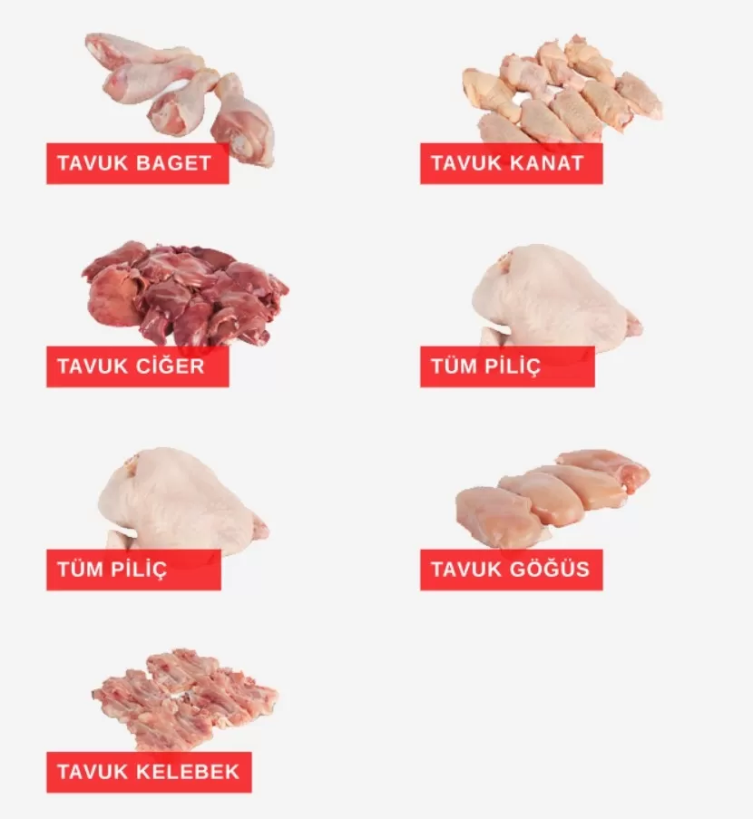 TAVUK ÇEŞİTLERİ